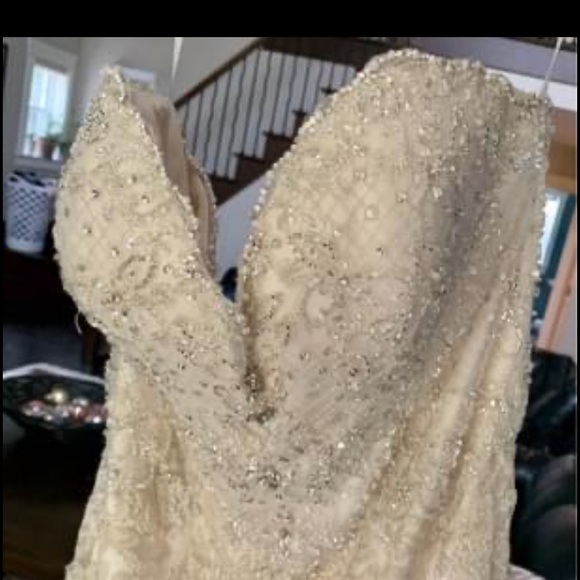 Beautiful Champagne Wedding Dress - Picture 3 of 9